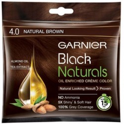 GARNIER NATURAL BROWN 4.0